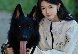 17c吃瓜：网页上的绝佳‘圈外人’围观！好戏开演了！
