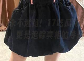 永不迷路！17吃瓜网址不仅是吃瓜，更是追踪真相的导航！