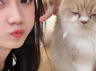 免费吃瓜指南：51吃瓜群众教你如何消化欢乐！