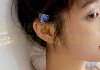 看不懂的操作？万篇长征-黑料不打烊首页下载，教你几招简单技巧！