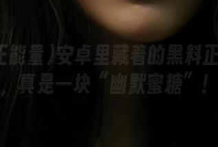 安卓里藏着的黑料正能量hl，真是一块“幽默蜜糖”！